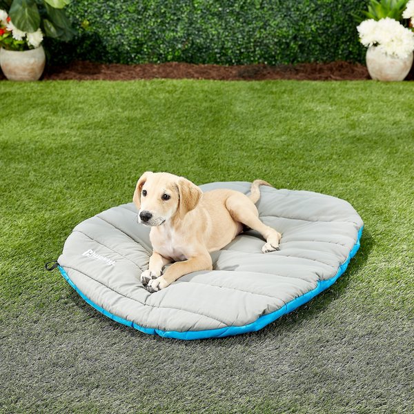 Chuckit! Travel Pillow Dog Bed slide 1 of 10