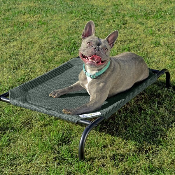 ETNA Round Folding Chair Dog Bed