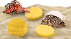 SunGrow Hermit Crab Tank Humidity Control Sponge, Yellow, 3 count