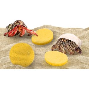 SunGrow Hermit Crab Tank Humidity Control Sponge, Yellow, 3 count