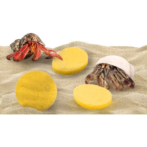 SUNGROW Hermit Crab Tank Humidity Control Sponge, Yellow, 3 count ...