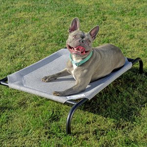 Coolaroo Steel-Framed Elevated Dog Bed, Grey, Small