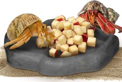 SunGrow Hermit Crab Water Bowl