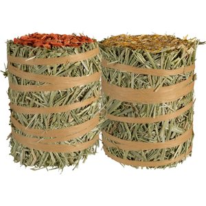 Field+Forest by Kaytee Mini Hay Bales Carrot Marigold Small Pet Hay, 7-oz bag, 2 count