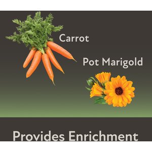 Field+Forest by Kaytee Mini Hay Bales Carrot Marigold Small Pet Hay, 7-oz bag, 2 count