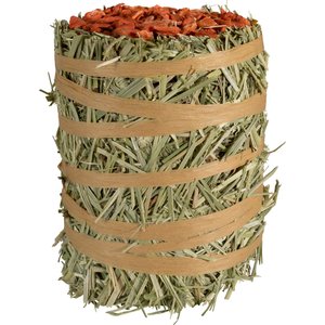 Field+Forest by Kaytee Mini Hay Bale Carrot Small Pet Hay, 3.5-oz bag