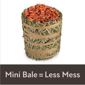 Field+Forest by Kaytee Mini Hay Bale Carrot Small Pet Hay, 3.5-oz bag