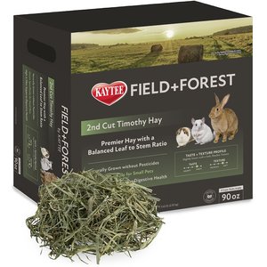 Field+Forest by Kaytee 2nd Cut Timothy Small Pet Hay, 90-oz box