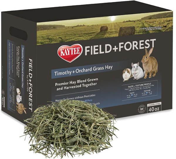 Field+Forest by Kaytee Timothy & Orchard Grass Small Pet Hay, 40-oz box slide 1 of 12