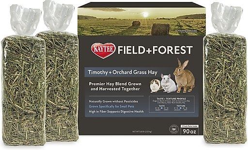 Field+Forest by Kaytee Timothy & Orchard Grass Small Pet Hay, 90-oz box