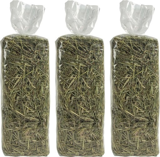 Field+Forest by Kaytee Timothy & Orchard Grass Small Pet Hay, 90-oz box