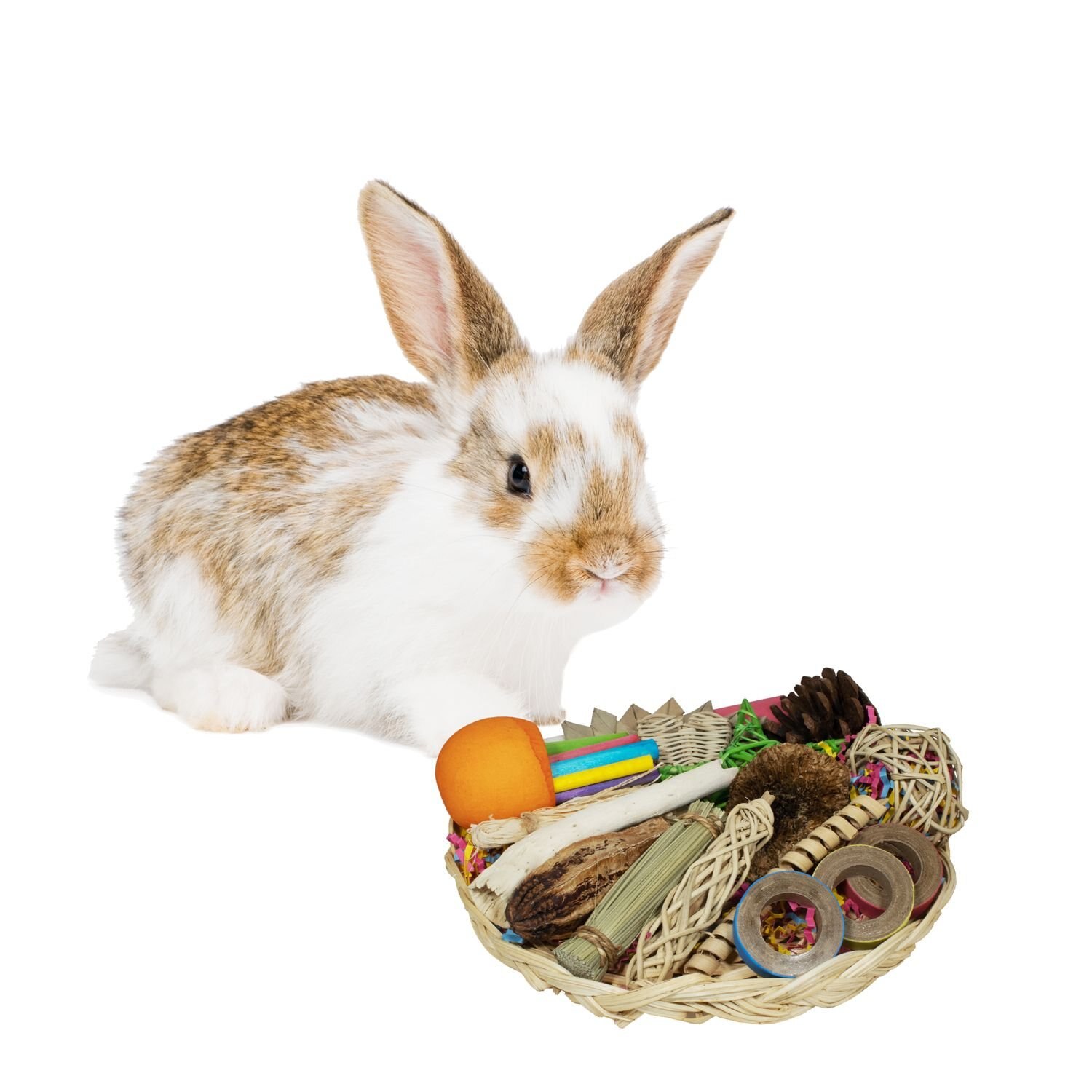 SUPER BIRD CREATIONS Foraging Basket Small Pet Toy Customer Questions