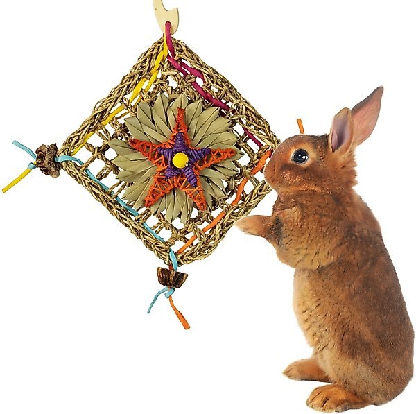 SUPER BIRD CREATIONS Activity Wall Small Pet Toy