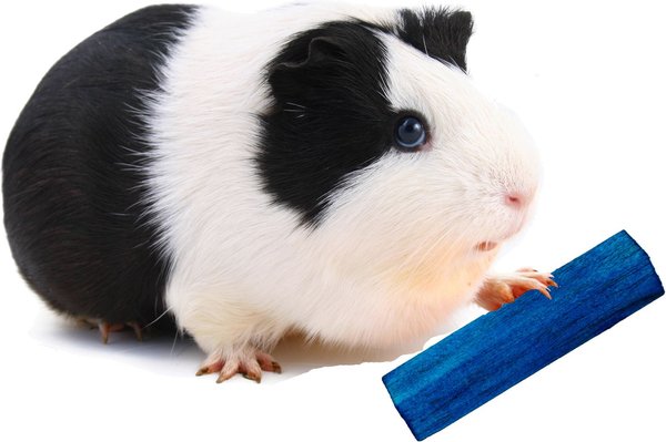 Balsa Wood Blocks for Rabbits, Chew Toy for Small Aninals 