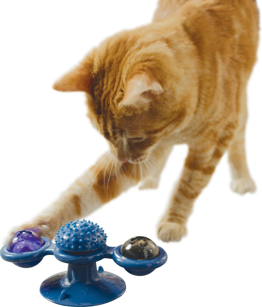 PETS KNOW BEST Purrfect Spinner Cat Toy, Blue