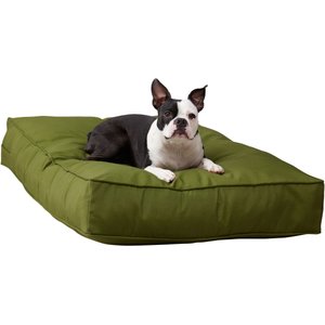 CAROLINA PET Solid Shebang Indoor & Outdoor Pillow Dog Bed, Green ...