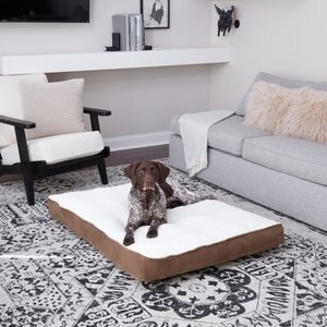 Happy Hounds Dolly Deluxe Supportive Cat & Dog Bed, Latte, Large