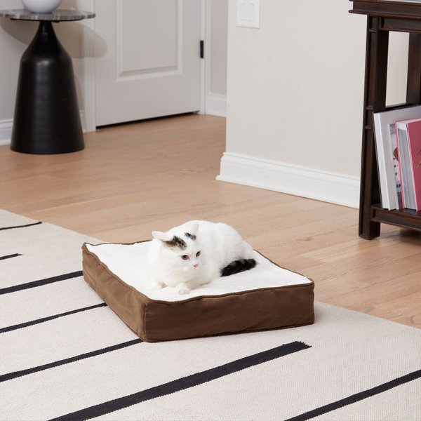 HAPPY HOUNDS Bella Orthopedic Cat Bed, Latte, XSmall