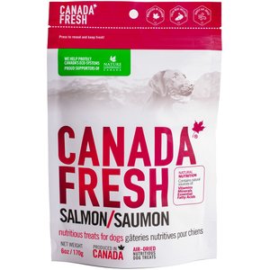 TurboPUP Salmon & Sweet Potato Dog Treats, 6-oz bag