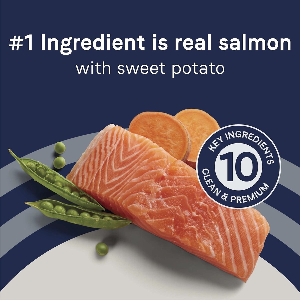 canidae pure salmon and sweet potato