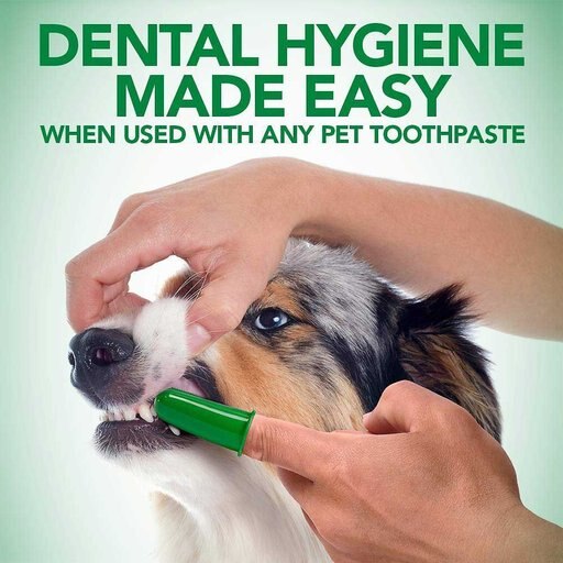 Sentry Petrodex Veterinary Strength Enzymatic Poultry Flavor Toothpaste, 6.2-oz + Vet's Best Fingerbrush Dog Toothbrush, 10 count