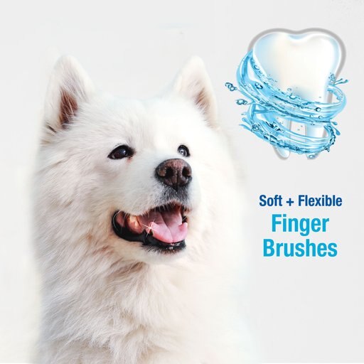 Nylabone Advanced Oral Care Finger Brush Toothbrush, 2-pack + Dog Toothpaste, 2.5-oz tube