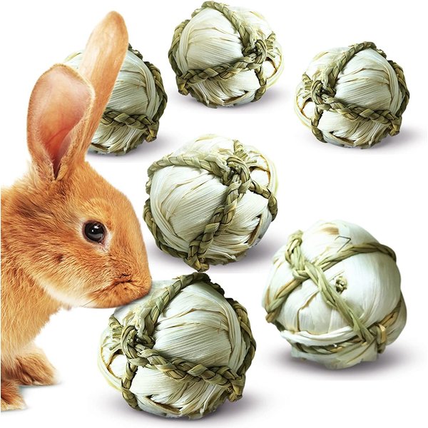 Small Pet Interesting Puzzle Toy, Carrot Graphic Food Leaking Ball, Rabbit  Feed Dispenser Toy, Slow Feed, Suitable For Small Pets, Such As Rabbits And  Chinchilla - Temu