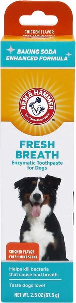 ARM & HAMMER PRODUCTS Products Fresh Breath Chicken Flavored Enzymatic Dog Toothpaste, 2.5-oz tube slide 1 of 6