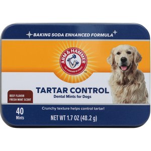Arm & Hammer Tartar Control Dental Mints Beef Flavor Dog Dental Chews, 40 count