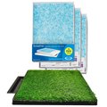ScoopFree Premium Unscented Cat Litter + Downtown Pet Supply Pee Turf Portable Dog Potty with Drawer, 20 x 25-in
