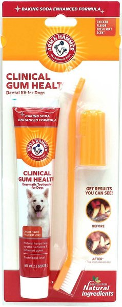 Arm & Hammer Clinical Gum Health Chicken Flavored Dog Dental Kit slide 1 of 7
