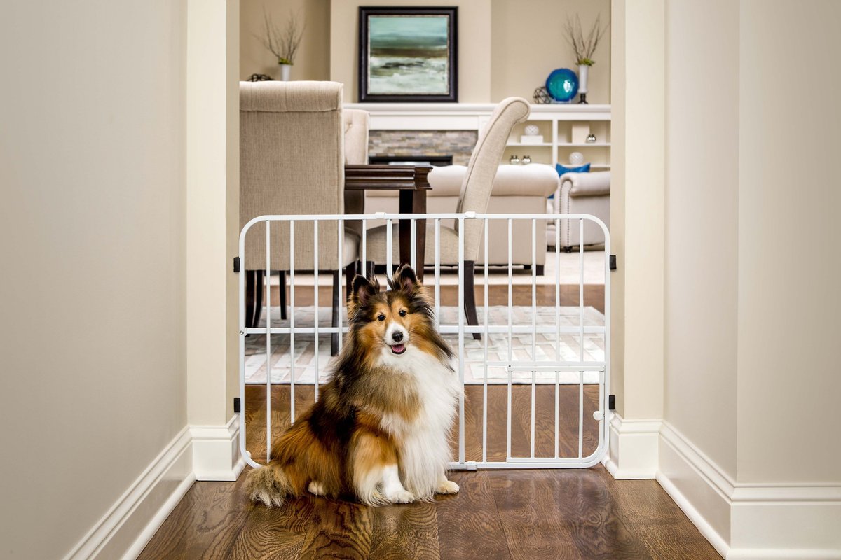 Carlson pet on sale products gate extension