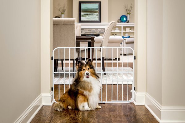 Carlson mini gate outlet with pet door