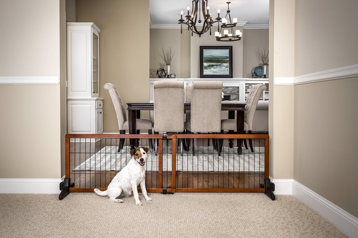 Carlson design hot sale pet gate