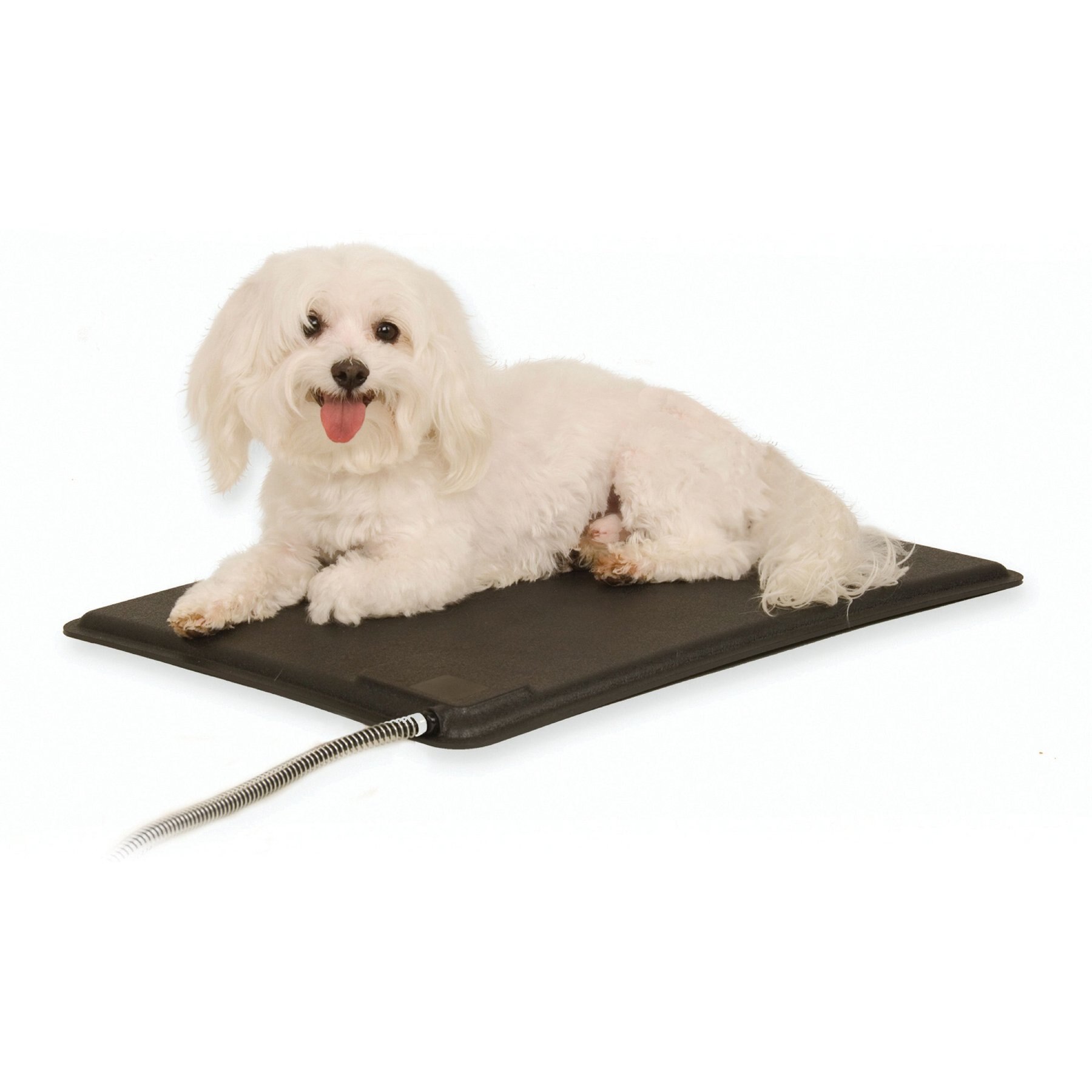 Heated dog pad best sale