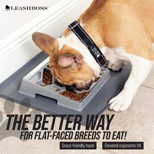 Leashboss Flat Face Slow Feeder Dog Bowl, Small/Medium, Gray