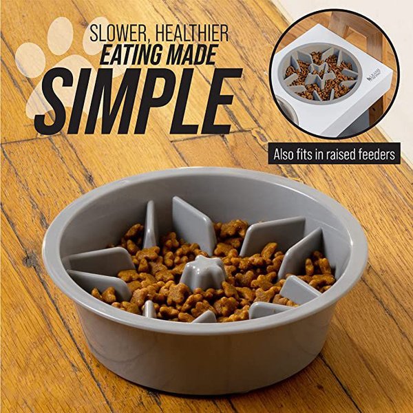 LEASH BOSS Raised Pet Feeders Slow Feed Dog Bowl, 1.5-cup, Gray - Chewy.com - Chewy Dog Feeders