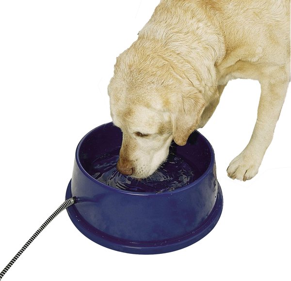 K&H Pet Products Thermal-Bowl Outdoor Heated Cat & Dog Water Bowl, Blue, 96-oz slide 1 of 11