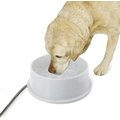 K&H Pet Products Thermal-Bowl Plastic Dog & Cat Bowl, 192-oz