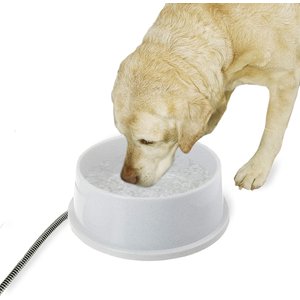 chewy heated water bowl