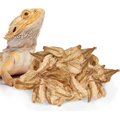 SunGrow Gecko & Snake Indian Almond Reptile Leaf Litter & Substrate, BioActive Vivarium, 10 count