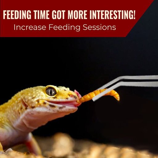 Vila Snake & Bearded Dragon Stainless Steel Reptile Feeding Tongs, Aquarium Long Tweezers, 2 count