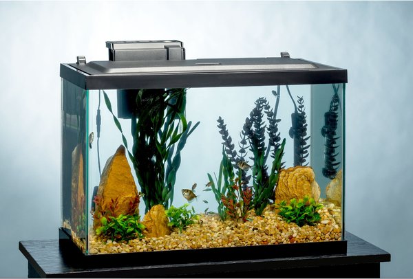 Tetra Aquarium + LED Lighting & Decor Fish Aquariums, 20-gal slide 1 of 7
