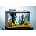 Tetra Aquarium + LED Lighting & Decor Fish Aquariums, 20-gal