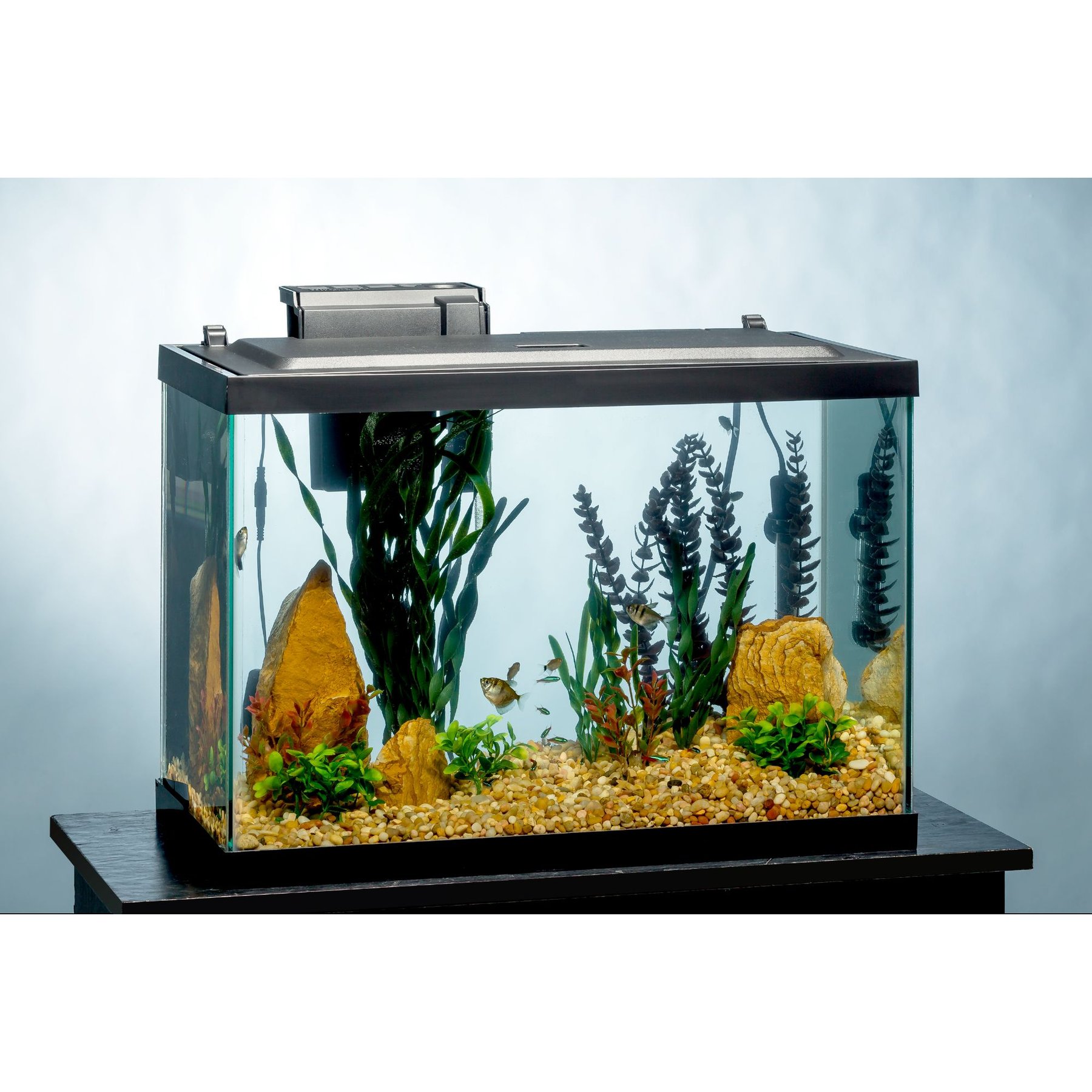 TETRA Aquarium + LED Lighting & Decor Fish Aquariums, 20-gal