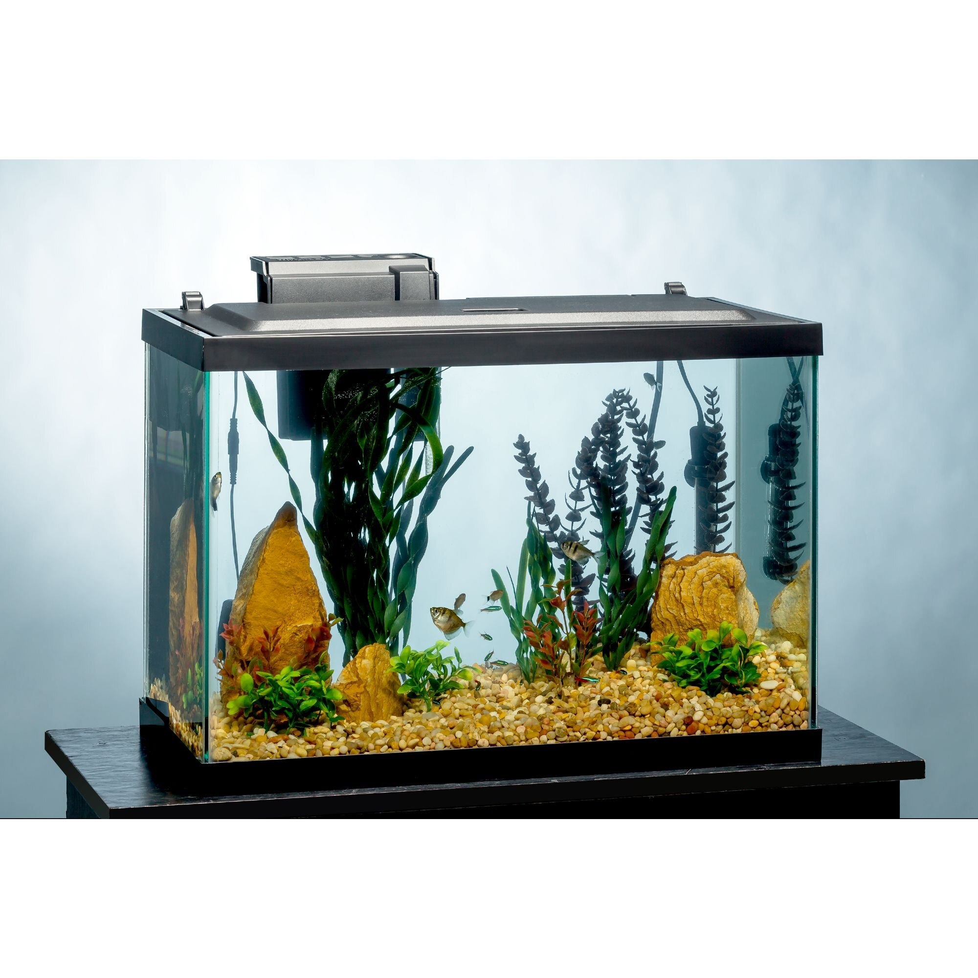 TETRA Aquarium + LED Lighting & Decor Fish Aquariums, 20gal Customer