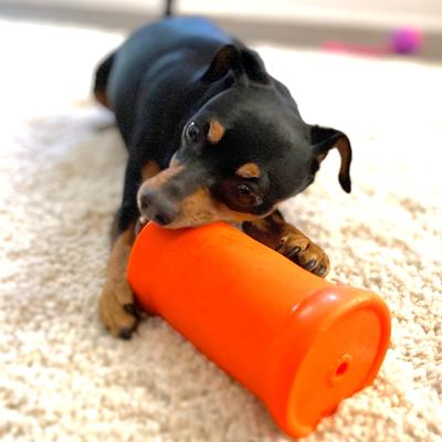 Show full view: Ruff Dawg Crinkit Rubber & Water-Bottle Tough Dog Toy, Assorted Colors, Regular slide 4 of 6