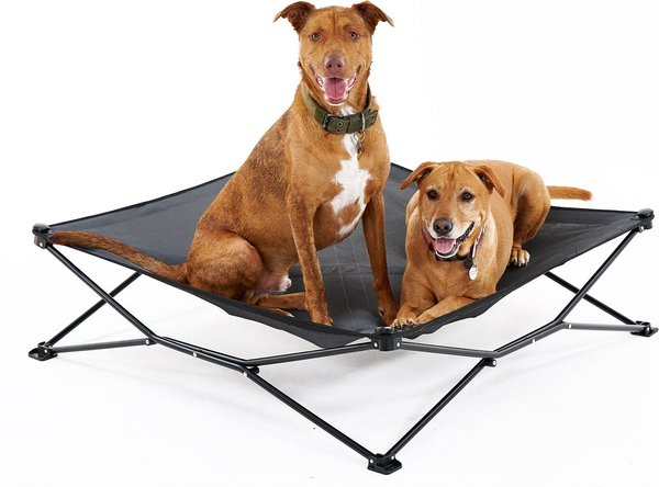 Coolaroo On The Go Elevated Cat & Dog Bed with Removable Cover, Steel Grey, Large slide 1 of 7