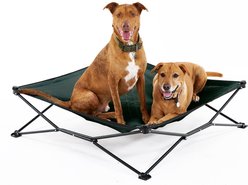 Coolaroo On The Go Elevated Cat & Dog Bed with Removable Cover, Brunswick Green, Large
