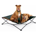 Coolaroo On The Go Elevated Cat & Dog Bed with Removable Cover, Brunswick Green, Large